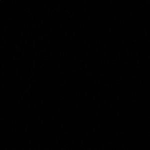 Meet your Posher, Desiree